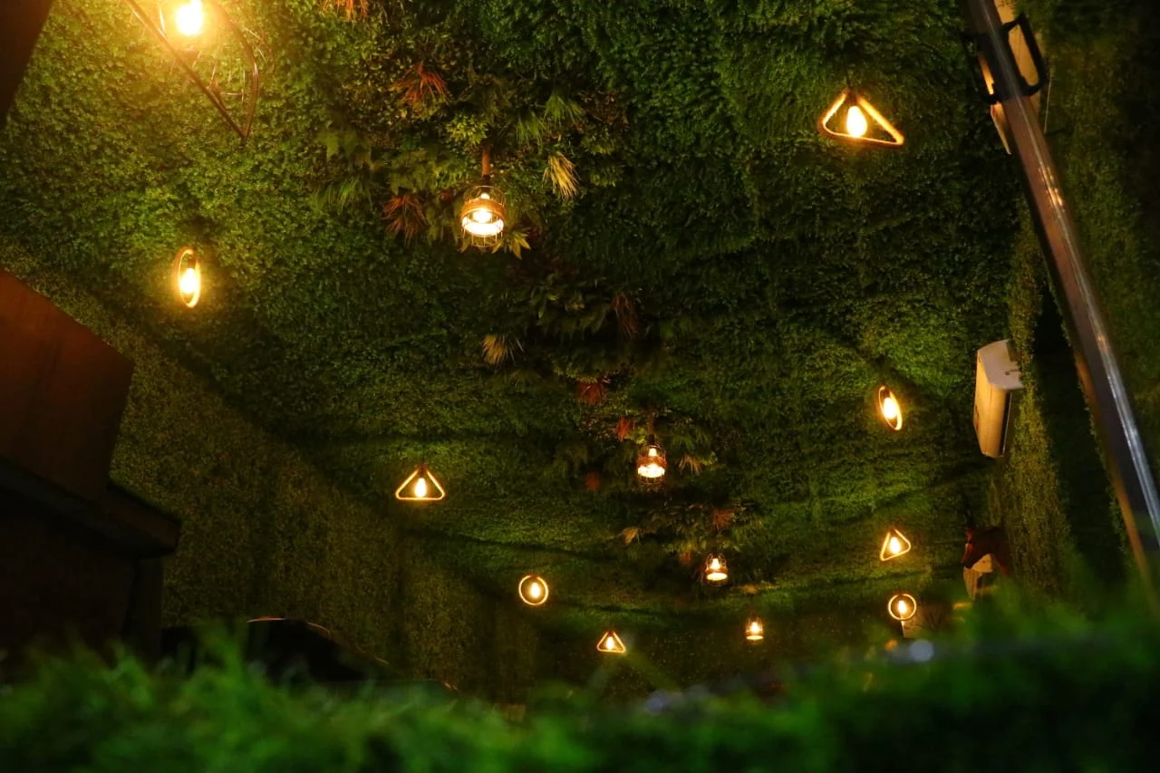 Best view of Hotel Atlas Palace hotel room, amenities, and facilities