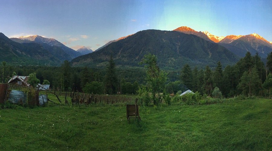 Best view of Freedom Palace hotel room, amenities, and facilities