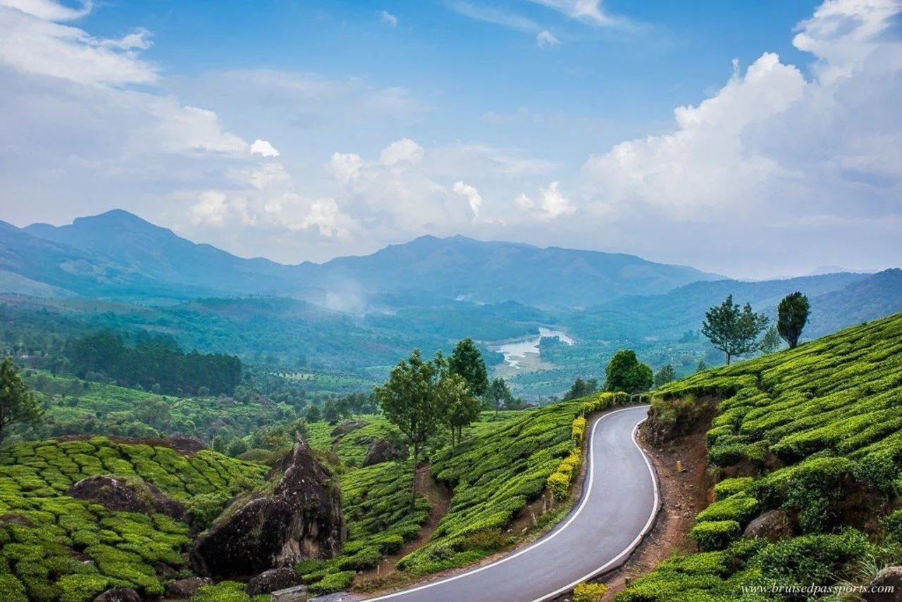 Day 1: Cochin Arrival – Munnar