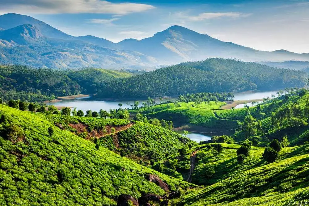 Day 2: Munnar Local Sightseeing