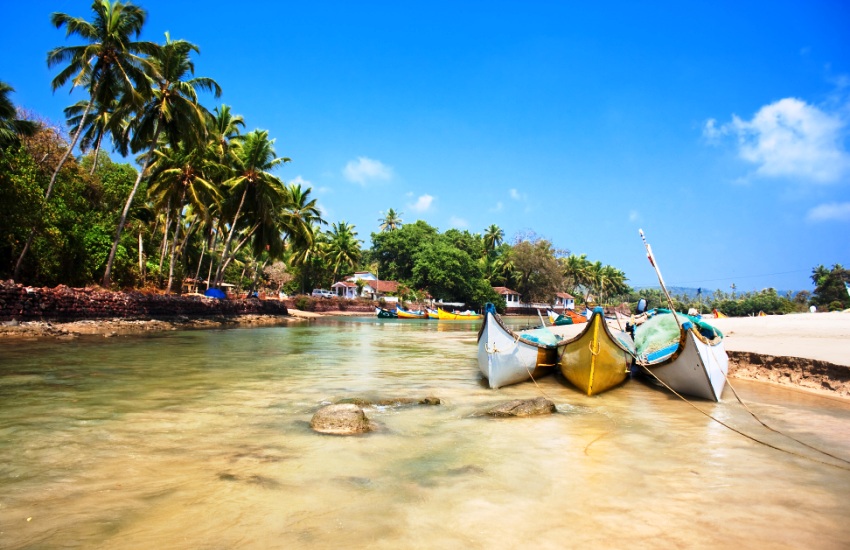 Beautiful Goa beach view with palm trees and sea