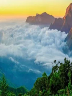 kerala-tour-package