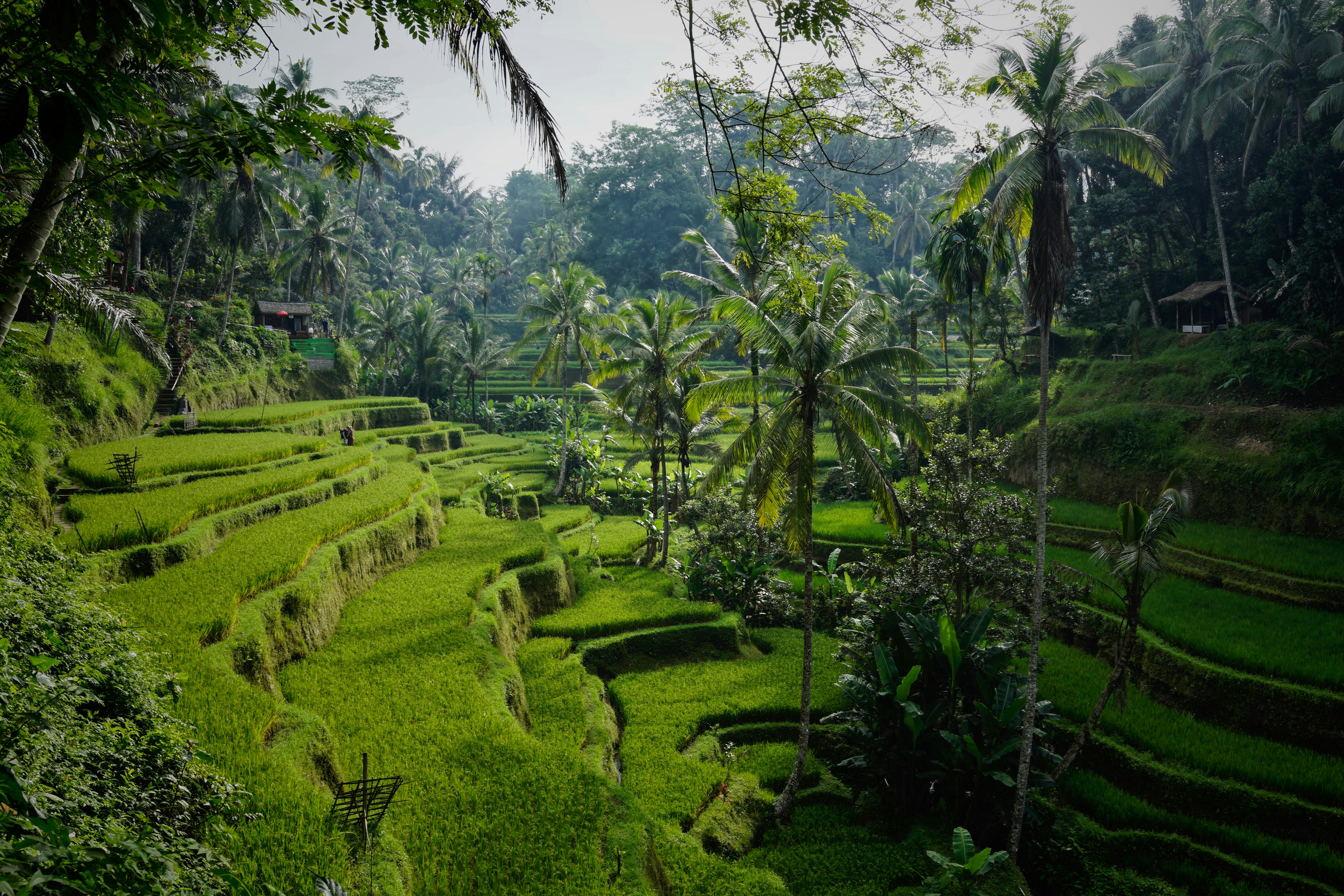 Bali trip planning guide for travelers
