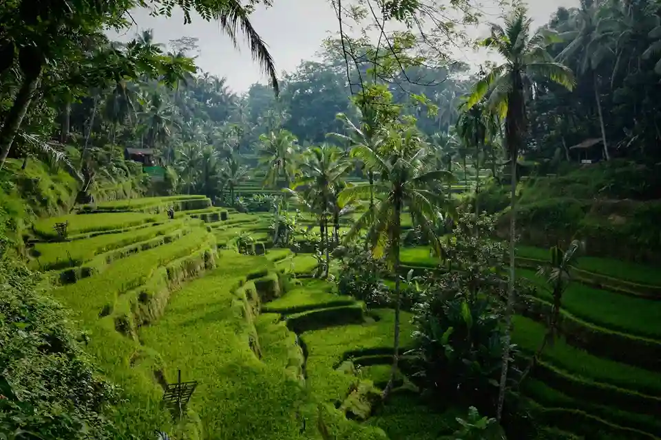 Bali trip planning guide for travelers