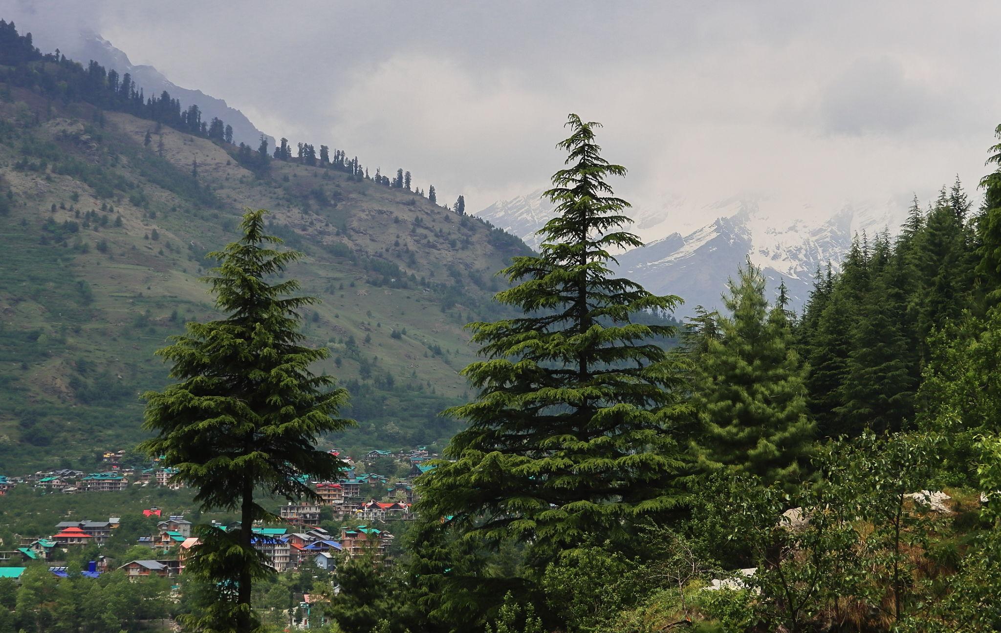 Travelers enjoying the beautiful mountain views and peaceful atmosphere in Manali